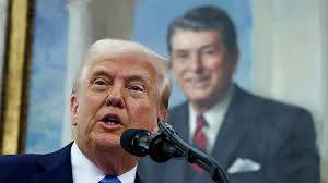 Volunteer fire chief of wildfire-stricken town dies after battling fire