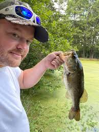How much large mouth bass should be harvested from a 1.5 acre pond?