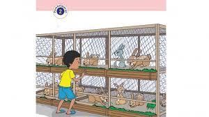 Kunci jawaban buku tematik tema 4 kelas 5 sd. Kunci Jawaban Tema 1 Kelas 5 Halaman 8 9 10 11 12 13 14 15 16 17 18 Organ Gerak Hewan Dan Manusia Tribun Pontianak