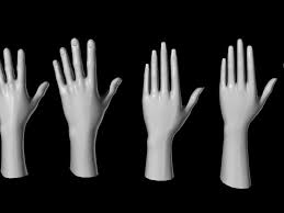 Free Human Hands Feet Foot 3d Model Human Hand Character Modeling Human