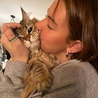 Iris Kelly Doesn't Date (Bright Falls, #3) by Ashley Herring Blake