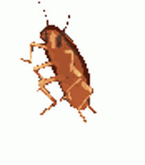 Cockroach Dancing Gif Cockroach Dancing Spin Discover Share Gifs Cute Memes Funny Memes Internet Jokes