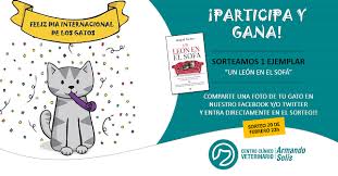 Día internacional de la felicidad 20 de marzo / excélsior en la me. 20 De Febrero Dia Internacional Del Gato Armando Solis Centro Clinico Veterinario