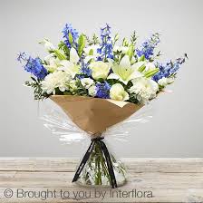 Moonlight Madness Extra Large Mary S Florist Halifax