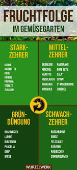 Fruchtfolge Planen Im Gemusegarten Starkzehrer Mittelzehrer Schwachzehrer Wurzelwerk Wenn Du In Dein In 2020 Crop Rotation Vegetable Garden Design How To Plan
