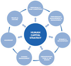 It is needed by companies to achieve goals, develop and remain innovative. Human Capital Management In Entrepreneurship Free Essay Example