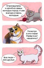 pin na doske illyustracii