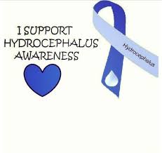 Csf Hydrocephalus Neuro Medical Knowledge Awareness Spina Bifida Awareness