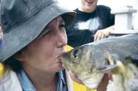 Bonavista bakeapples steal the show Gallery