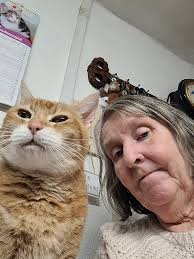 EXTRA EXTRAMILD MILD Cat Spice Chart MILD MEDIUM SPICY EXTRA SPICY super  friendly loves cuddles easy to handle friendly wiggly wigglytohold to hold  likes some fuss shy/skittish less is more accepts contact