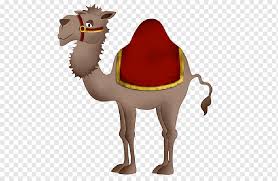 Mongolia is a country located in east asia, bordered by china to the south and russia to the north. Bactrian Camel Dromedary Others Mammal Terrestrial Animal Cartoon Png Pngwing