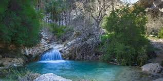 طبیعت بکر جم و ظرفیت مغفول مانده گردشگری/ «جنگل گلوبردکان» زیستگاه ...