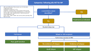 The national german exam practice and released exams provide students with a chance to familiarize themselves with exam content, question types, and how the . Allogeneic Haematopoietic Cell Transplantation For Myelofibrosis Proposed Definitions And Management Strategies For Graft Failure Poor Graft Function And Relapse Best Practice Recommendations Of The Ebmt Chronic Malignancies Working Party Leukemia