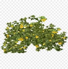 Tree Bush Png Image Creosote Bush Png Image With Transparent Background Toppng Download the bushes, nature png on in this category bushes we have 10 free png images with transparent background. tree bush png image creosote bush png