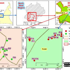 Image result for Disperis dicerochila