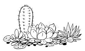 Illustration in black and white drawing by pointillist technique risographie print. Cactus And Succulents Group Vector Hand Drawn Outline Black And White Sketch Illustration Stock Vector Illustration Of Flora Drawn 139705739
