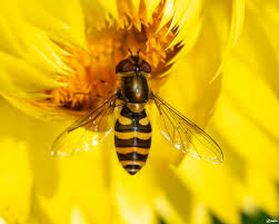 Barbi Hofer Photography added a...