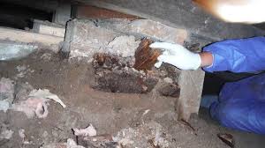 We did not find results for: Crawl Space Repair Technical Papers Buying Or Selling A Home What Red Flags Could Stop Your Sale