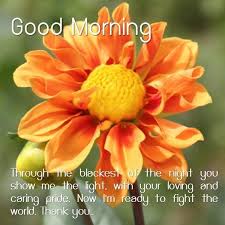 Here you can find the most beautiful good morning images, pictures, photos have fun while sharing. Good Morning Beautiful Flower For Android Apk Download