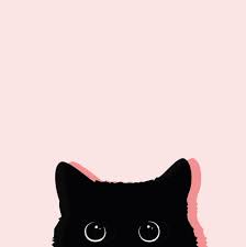 Check out this fantastic collection of cute cat aesthetic wallpapers, with 61 cute cat aesthetic background images for your desktop, phone or tablet. Cute Cat Aesthetic Wallpapers Top Free Cute Cat Aesthetic Backgrounds Wallpaperaccess