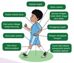 Kunci jawaban tema 2 subtema 1 kelas 4 sd ini terdapat pada buku tematik terpadu kurikulum 2013 revisi 2018 terbaru. Kunci Jawaban Tema 2 Kelas 6 Halaman 38 41 42 Subtema 2 Pembelajaran 6 Halo Belajar