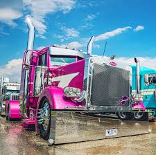 Image result for Pink Coral 1999 Truck