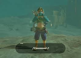 The following is a list of characters from breath of the wild. I Pinimg Com 564x 5c 66 77 5c667792e3e8ff38e0c1