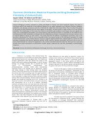 Image result for Ocimum urundense