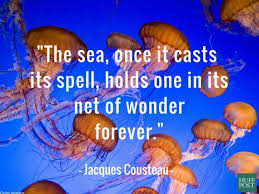 Sweat, tears or the sea. 11 Quotes About The Ocean That Remind Us To Protect It Huffpost