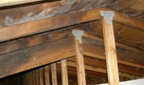 As it flows across the sheathing, moisture is pulled away along with the air movement. Five Common Causes Of Attic Mold