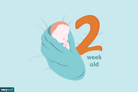 Your 2 Week Old Baby Development Milestones