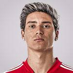 Darwin Gabriel Núñez Ribeiro (Al Hilal) : origine famille, stats + salaire 