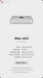 Macos High Sierra 10.13 + Mac Os X Mavericks 10.9 2 In 1 Bootable Usb 16 Gb  Drive Recovery, Upgrade Or Fresh Install : Amazon.In: Software