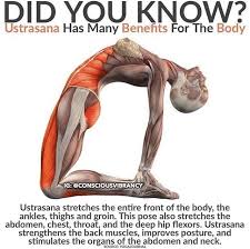 Baby Oh Baby Did You Know Yoga Benefits Yoga Postures Yoga Poses