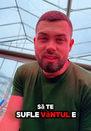 Munca în Olanda: Oferte pentru angajați