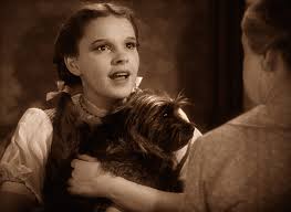 Dorothy And Toto Oh Auntie Em There S No Place Like Home Wizard Of Oz Movie Wizard Of Oz Wizard Of Oz 1939