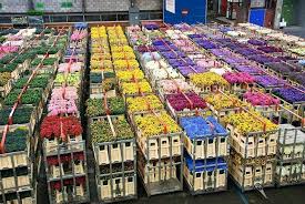 See tripadvisor's 3,276 traveler reviews and photos of aalsmeer tourist attractions. How To Visit The Aalsmeer Flower Auction From Amsterdam The Netherlands Cheeseweb