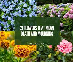Flowers that symbolize eternal love. 21 Popular Flowers That Mean Death And Mourning Farm Food Family