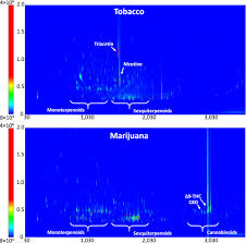 Carbon monoxide alarms detect the poisonous gas and provide early warning. Comprehensive Characterization Of Mainstream Marijuana And Tobacco Smoke Scientific Reports