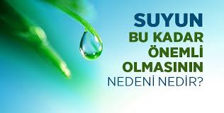 Suyun varlıklar için önemi nedir? Suyun Hayatimizdaki Onemi Sanliurfa Su Ve Kanalizasyon Idaresi Genel Mudurlugu