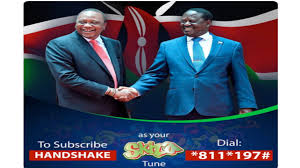 24 counties will have passed bbi bill by end month by standard team | february 5th 2021 at 00:00:00 gmt +0300 kajiado governor joseph ole lenku, odm leader raila odinga and kajiado east mp. Nobody Can Stop Reggae As Counties Move To Pass Bbi Panic Grips Dp Ruto S Camp