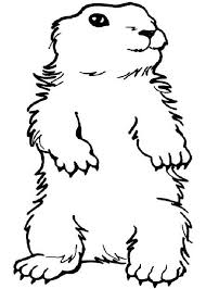 We did not find results for: Groundhog Coloring Pages Best Coloring Pages For Kids