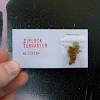 However, a unique business card that helps you stand out could still help cement you an interview at your dream job, especially if you're in the this clever card folds up to look like a mac computer. 3