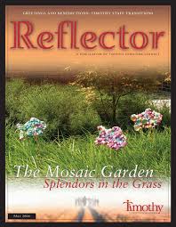 ReflectorFall 03 TIC-3009.qxd