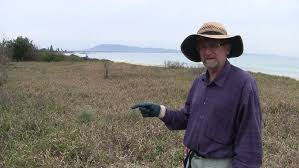 Image result for Ochna katangensis