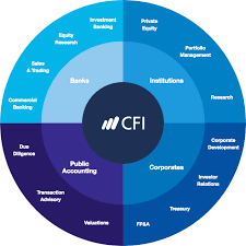 While the role reports to the cfo, it will be highly interactive with all executive functions in a supportive and. Fp A Analyst Career Guide For Financial Planning Analysis