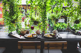 Are you searching for mediterranean restaurants in new york? How To Use Plants In Restaurant Interior Or Cafe Interior