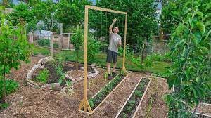 How To Build A Tomato Trellis Using Only One Piece Of Wood Cheap And Easy Backyard Gardening Youtube Tomato Trellis Tomato Garden Trellis Tomato Trellis Diy