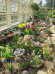 Harlow Carr Greenhouse Garden Visits Alpine Plants Cottage Garden