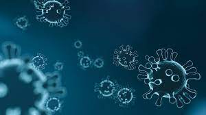 Aug 22, 2020 · ebola virus and marburg virus are difficult to diagnose because early signs and symptoms resemble those of other diseases, such as typhoid and malaria. Rq9jya1ebltfjm